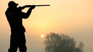 3 cürə quşunu ovlayan şəxslər 2015 manat cərimələniblər