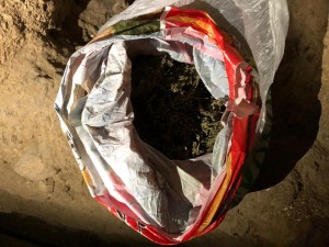 Şəki sakinlərindən narkotik vasitə götürülüb - FOTO