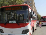 Paytaxtda reyd: 95 avtobus sürücüsü cərimələndi