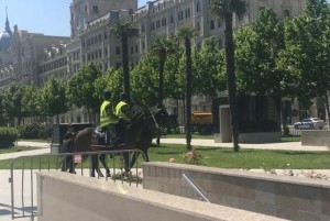 Bakının süvari polisləri - FOTO
