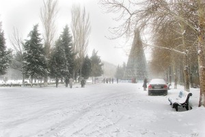 Bakıya niyə qar yağmır? - AÇIQLAMA