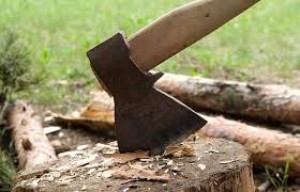 Sexlərdə qanunsuz meşə materialı aşkarlanıb - Göyçayda