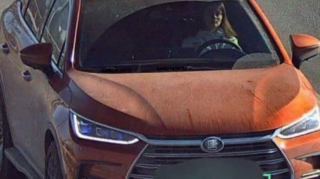 Tıxacda dayanan qadın sürücü səkidə gəzən piyadaya görə cərimələndi - FOTO 