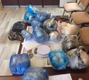 “Vaz 2106” markalı avtomobildə 30 kiloqrama yaxın narkotik aşkarlandı                     - Biləsuvarda