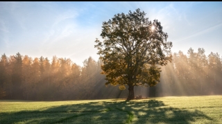 Sabahın hava proqnozu açıqlanıb