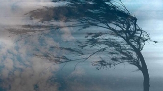 В Азербайджане из-за ветреной погоды объявлены желтое и оранжевое предупреждения 