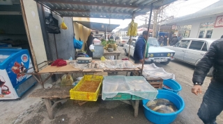 Ucarda bazarda yoxlama keçirildi - Nöqsanlar aşkarlandı - VİDEO