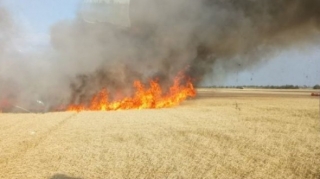 Əkin yerinin yandırılmasına görə yeni cərimələr 