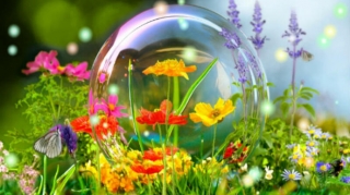 İsti hava avqustun 14-dək davam edəcək, temperatur 43 dərəcəyədək yüksələcək