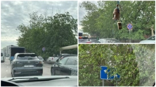 Bu kəsişmədəki yol nişanı ağacın yarpaqları ilə örtülüb - Sürücülər çətinlik çəkir    - FOTO