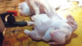 Toyuğun çəkisini su vuraraq artıran müəssisə aşkarlanıb - FOTO 