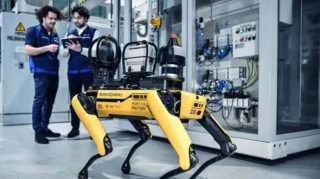“BMW”  müəssisələrində “robot itlərdən”  istifadə edəcək  - VİDEO