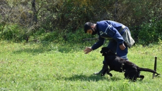 Türkiyə Milli Müdafiə Nazirliyi FHN-ə minaaxtaran itlər hədiyyə edib - FOTO - VİDEO