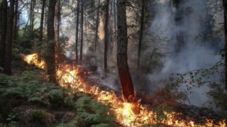 Türkiyədə meşə yanğını baş verib, əraziyə 10 helikopter cəlb olunub 