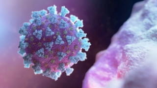 Daha 127 nəfərdə koronavirus aşkarlandı, 107 nəfər sağaldı 