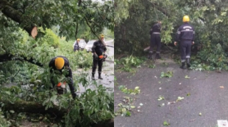 Восстановлено движение на трассе в Габалинском районе - ВИДЕО