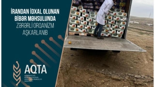 İrandan Azərbaycana gətirilən 5 ton bibər yararsız çıxdı