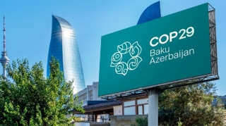 COP29 könüllülərinə xüsusi pul mükafatı ayrıldı 