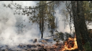 В Габале продолжается пожар в горной местности