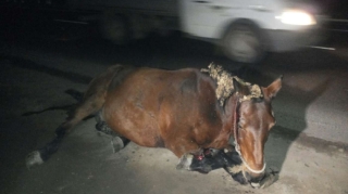 Oğuzda “VAZ 2106” atı vurdu, yaralı var 