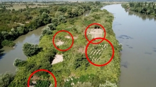 Kür çayındakı adalarda 21 ton narkotik yetişdirilməsi faktı aşkarlanıb  - FOTO - VİDEO