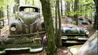 Ən böyük əntiq maşınlar  məzarlığı  - FOTO