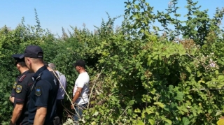 Ağdaşda narkotik becərən şəxs saxlanılıb - FOTO