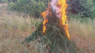 Xocavənddə narkotik tərkibli bitkilər aşkarlandı