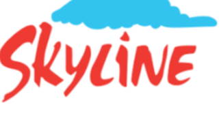 "Skyline Builders"  şirkəti ilə bağlı məhkəmə qərarı açıqlandı