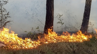 Lerikdə dağlıq ərazidə yanğının söndürülməsinə helikopter cəlb olunub