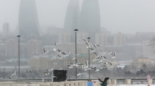 Umayra Tağıyeva: "Bakıda qar yağacaq" 