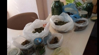 İsmayıllıda evdən narkotik və odlu silah aşkarlanıb  - FOTO