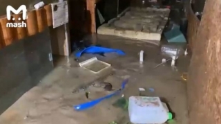 Yaltada daşqınlardan sonra evlərə timsahlar hücum etdi - VİDEO