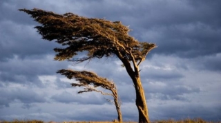 В Азербайджане в связи с ветреной погодой объявлены желтое и оранжевое предупреждения   