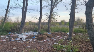 Qaxda bələdiyyə sədri cərimələndi - FOTO 