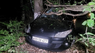 Lənkəranda avtomobil ağaca çırpıldı - Ölən və yaralanan var - FOTOLAR 