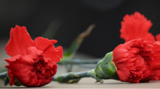 Yas mərasimlərinə apardığınız güllərin rəngi və mənası nələri ifadə edir? – BİLMƏDİYİNİZ SİRLƏR 