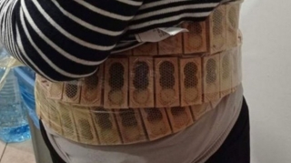 Gürcüstan-Türkiyə sərhədində bədənində 1100 arı daşıyan şəxs saxlanılıb   - FOTO