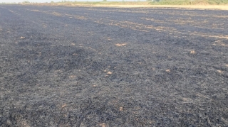 Beyləqanda yanğına səbəb olan şəxs məsuliyyətə cəlb olundu 