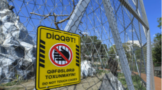 Bakı zooparkında COVID-19 pasportu tələb olunacaq?