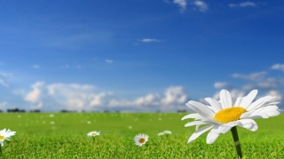 Sabahın hava proqnozu açıqlanıb