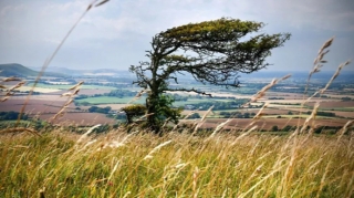 Küləklə bağlı - Xəbərdarlıq 