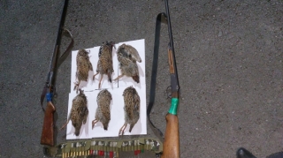 “Qırmızı kitab”a düşmüş quşları ovlayan şəxslər tutulub 