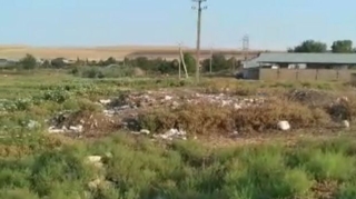 İsmayıllıda bələdiyyə sədri inzibati məsuliyyətə cəlb olunub  - VİDEO