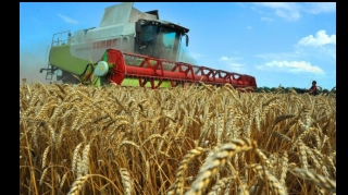 Müharibə bu məhsulların qiymətini kəskin artırdı - VİDEO 