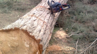 Ucarda kişi ehtiyatsızlıqdan özünü "matapila" ilə DOĞRADI 