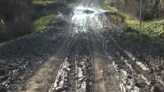 Cəlilabadda sakinləri təngə gətirən PROBLEM  - VİDEO