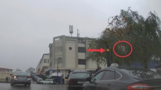 Ağacın arxasında görünməz qalan svetofor və nişan sürücülərə təhlükə yaradır - VİDEO