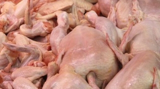 Nigeriyadan gələn məhsullara quş qripi səbəbindən qadağa qoyuldu