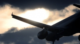 Во Флориде самолет столкнулся с оленями при взлете 